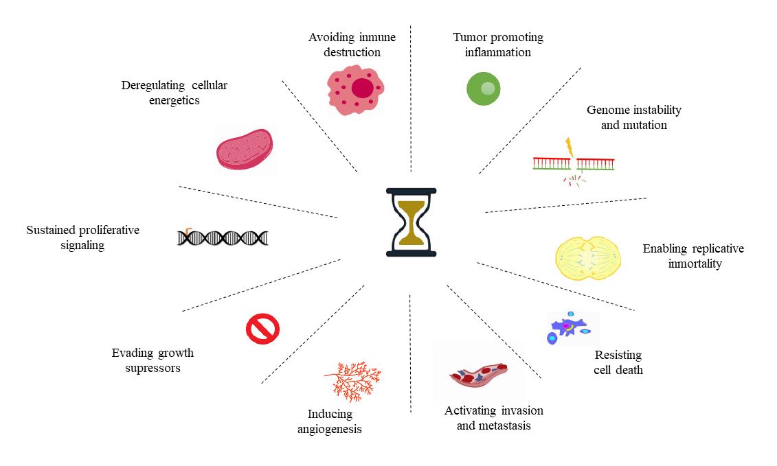 Interacciones de los genes del reloj circadiano con las